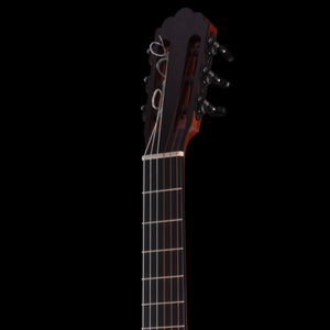 R Robinson Flamenco
