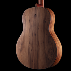 R Robinson GUS Resonator