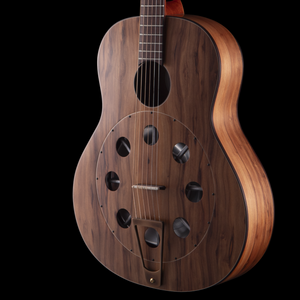 R Robinson GUS Resonator