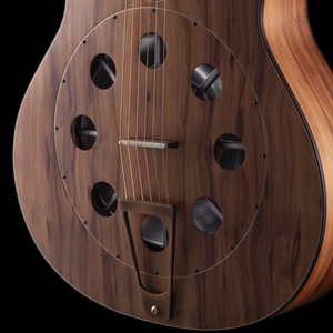 R Robinson GUS Resonator