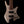 Strandberg Boden Bass Standard 5