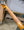Shabat Lynx HSS - Lake Placid Blue