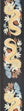 D'Addario Woven Guitar Strap, Dragon