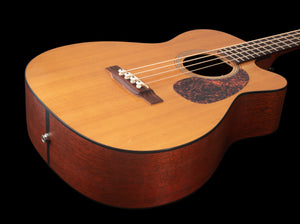 Martin BC-16GTE Acoustic Bass