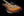 Shabat Lion Special - Tobacco Sunburst