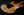 Suhr Custp, Modern Set Neck - Burl Maple Top