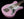 Oopegg Trailbreaker Mk 1 - Shell Pink