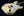 Shabat Lynx HSS - Olympic White