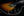 Shabat Lion Deluxe - Tobacco Sunburst