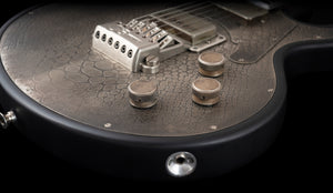 James Trussart Steeltop Custom