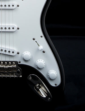 Paul Reed Smith Silver Sky - Onyx Black