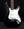 Paul Reed Smith Silver Sky - Onyx Black
