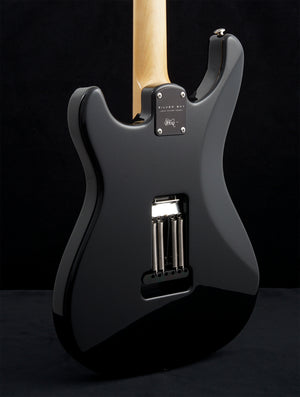 Paul Reed Smith Silver Sky - Onyx Black