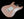 LsL Saticoy Champagne Pink - Ltd Edition Rosewood Neck