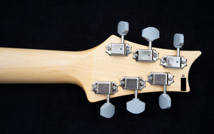 Paul Reed Smith Silver Sky - Onyx Black