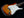 Xotic California Classic XSC-1 Sunburst