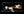 Xotic California Classic XSCPRO-2 Sunburst