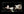 Xotic California Classic XSC-2 Shoreline Gold