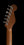 Paoletti Richard Fortus Signature #3