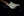 Xotic California Classic XSC-1 Black