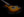 Shabat Lion Standard - Tobacco Burst