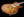 Patrick James Eggle Macon Single Cut - Faded Gold Burst - Master Grade Top