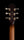 Patrick James Eggle Macon Single Cut - Faded Gold Burst - Master Grade Top