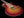 Gibson Les Paul Deluxe P90