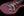 Suhr Classic S Antique Custom, Burgundy Mist