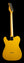 Tuttle Custom Classic T