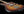Shabat Leopard - 3 Tone Burst