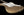Suhr Classic JM Gold