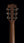 Breedlove Legacy Concertina E Spruce Cocobolo