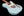 LsL T-Bone One - Limited Efoam Pearl