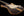 Fender Custom Shop Empire Cocobolo Top Strat