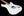 Xotic California Classic XSCPRO-2 Olympic White 5A Neck