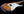 Xotic California Classic XSCPRO-2 Sunburst 5A Neck