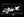 Xotic California Classic XSCPRO-2 Black 5A Neck