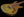Knaggs Severn Trem SSS Larry Mitchell Signature
