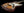 Fender 75th Anniversary Commemorative Jazz Bass