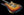 Shabat Lynx - 3 Tone Burst