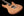 LsL XT4 One Series Okoume Limited - Natural Satin