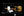 Tom Anderson T Icon - Translucent Butterscotch