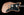 Fano JM6 Standard - Copper Metallic