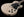 Patrick James Eggle Macon Junior - Grained Blonde