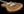 Fano RB6 Oltre - Gold Top
