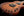 Tom Anderson Crowdster Plus 2 - Koa Top