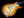 Patrick James Eggle Macon Single Cut - Master Grade Top