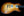 Patrick James Eggle Macon Single Cut - Master Grade Top