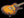 Nik Huber Piet - 2 Tone Burst
